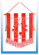 Mini Football Team Pennants